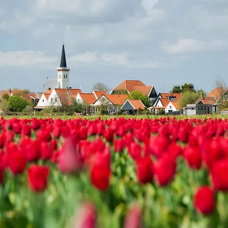 In Texel Near Sandy Beaches *