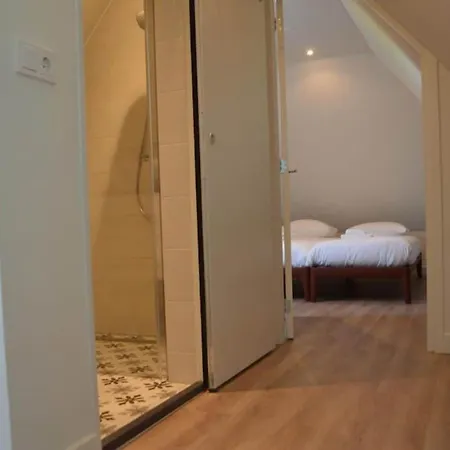 In Texel Near Sandy Beaches