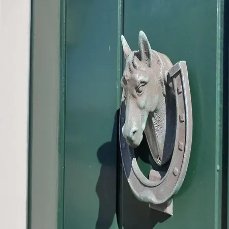 In Texel Near Sandy Beaches *