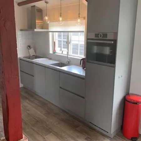 In Texel Near Sandy Beaches Den Hoorn (North Holland)