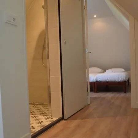 In Texel Near Sandy Beaches Den Hoorn (North Holland)