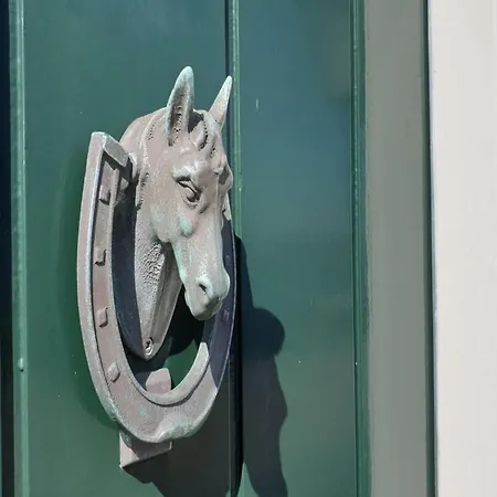 In Texel Near Sandy Beaches *