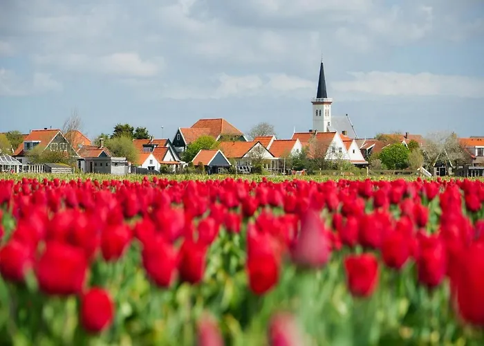 In Texel Near Sandy Beaches Сasa de vacaciones