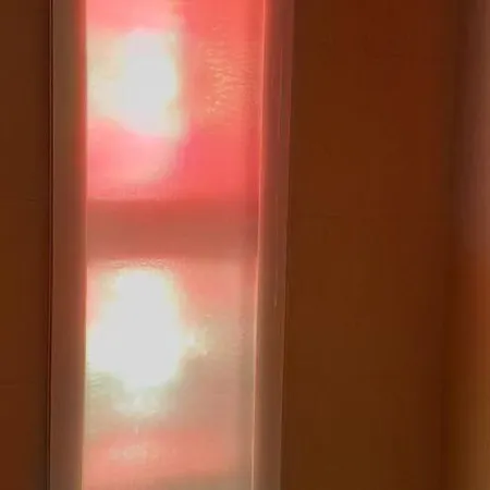 In Texel Near Sandy Beaches *