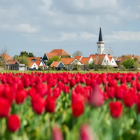 In Texel Near Sandy Beaches بيت للعطل
