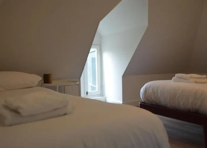 In Texel Near Sandy Beaches