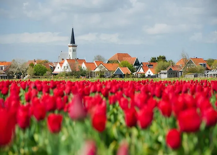 In Texel Near Sandy Beaches Nyaraló Den Hoorn